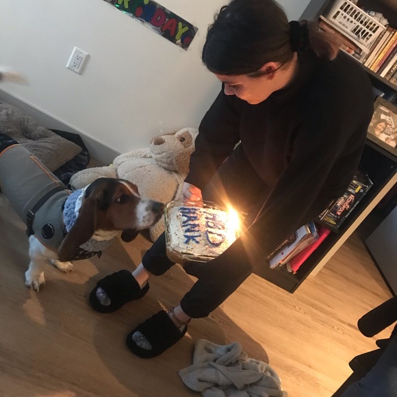 Meet your Posher, Byllie - Picture 1 of 1